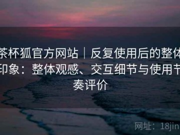 茶杯狐官方网站｜反复使用后的整体印象：整体观感、交互细节与使用节奏评价