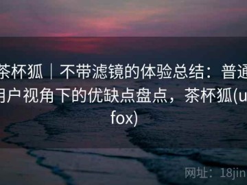 茶杯狐｜不带滤镜的体验总结：普通用户视角下的优缺点盘点，茶杯狐(upfox)