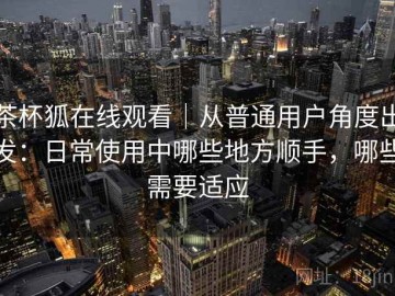 茶杯狐在线观看｜从普通用户角度出发：日常使用中哪些地方顺手，哪些需要适应