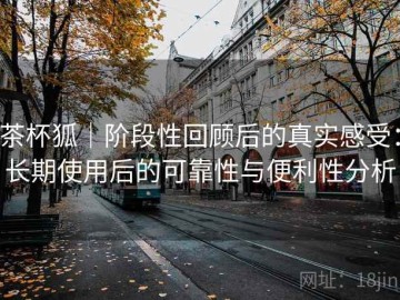 茶杯狐｜阶段性回顾后的真实感受：长期使用后的可靠性与便利性分析