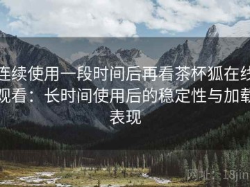 连续使用一段时间后再看茶杯狐在线观看：长时间使用后的稳定性与加载表现
