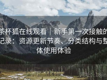 茶杯狐在线观看｜新手第一次接触的记录：资源更新节奏、分类结构与整体使用体验