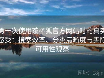 第一次使用茶杯狐官方网站时的真实感受：搜索效率、分类清晰度与实际可用性观察