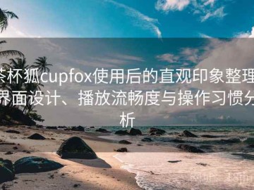 茶杯狐cupfox使用后的直观印象整理：界面设计、播放流畅度与操作习惯分析